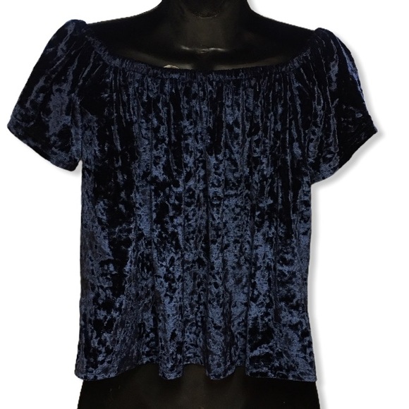 Molly Green Women’s Blue Crushed Velvet Top Large - Picture 3 of 5